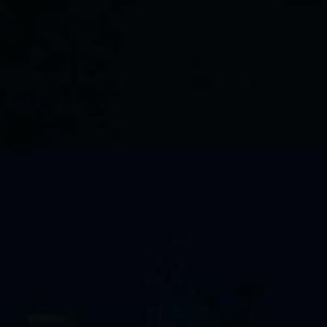 Meet your Posher, Lee